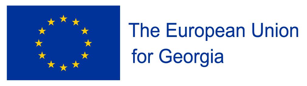 EU_Georgia_Horizontal Eng.jpg